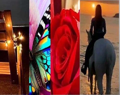 مسابقه الاربعه صور