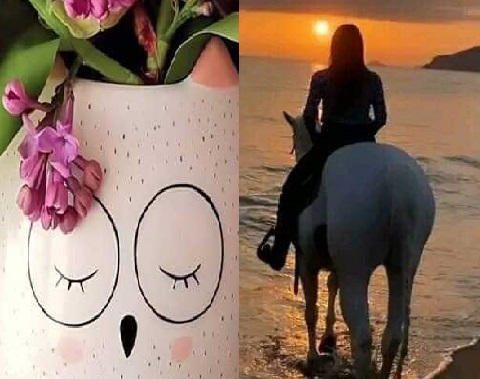 مسابقه ثنائيه